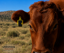 Load image into Gallery viewer, GPS Livestock Tracker Ear Tag
